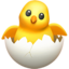 hatching_chick emoji